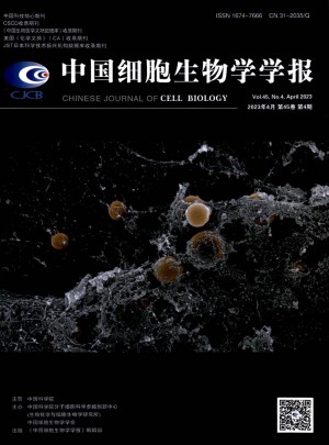 细胞生物学杂志